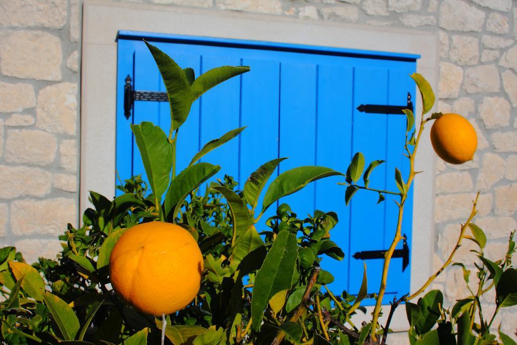 Holiday Home Olea - Sun, Sea, Sport & Comfort Splitska Kültér fotó